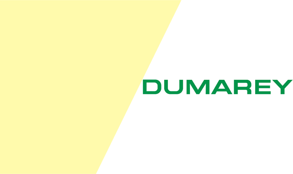 Dumerry Dumarey Group Joins SDVerse to Advance Software Innovation in ...